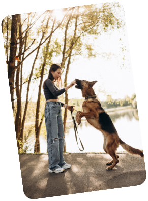 Dog